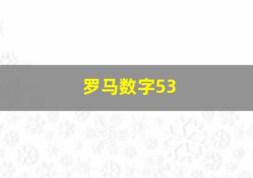 罗马数字53