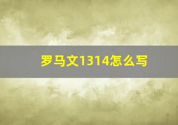 罗马文1314怎么写