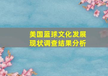 美国蓝球文化发展现状调查结果分析