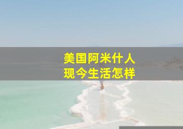 美国阿米什人现今生活怎样