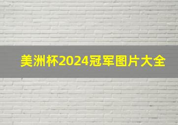 美洲杯2024冠军图片大全