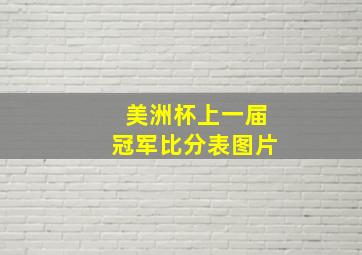 美洲杯上一届冠军比分表图片