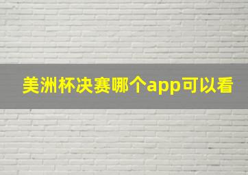 美洲杯决赛哪个app可以看