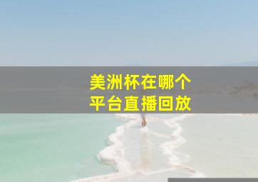 美洲杯在哪个平台直播回放