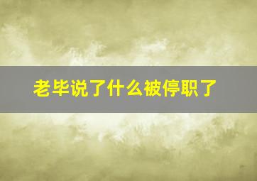 老毕说了什么被停职了