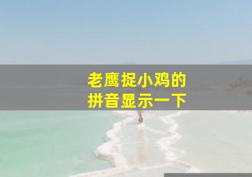 老鹰捉小鸡的拼音显示一下