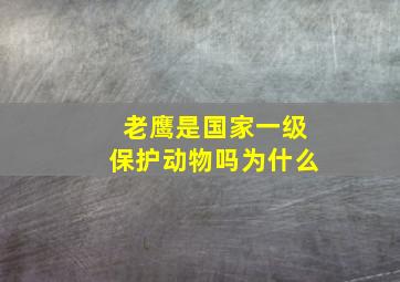 老鹰是国家一级保护动物吗为什么