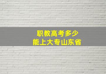 职教高考多少能上大专山东省