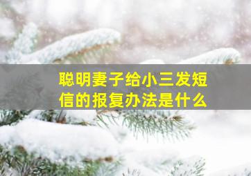 聪明妻子给小三发短信的报复办法是什么