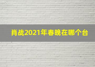 肖战2021年春晚在哪个台