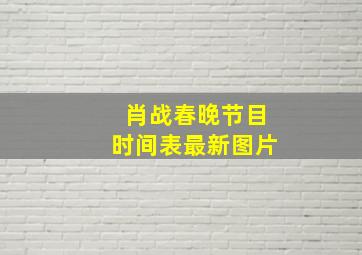 肖战春晚节目时间表最新图片