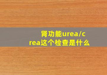 肾功能urea/crea这个检查是什么