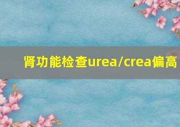 肾功能检查urea/crea偏高