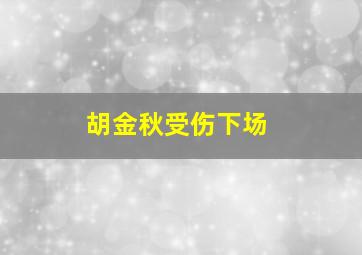 胡金秋受伤下场