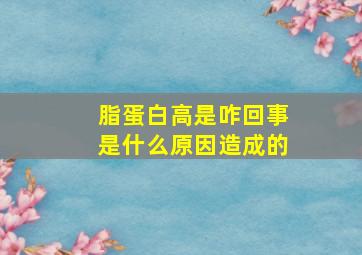 脂蛋白高是咋回事是什么原因造成的