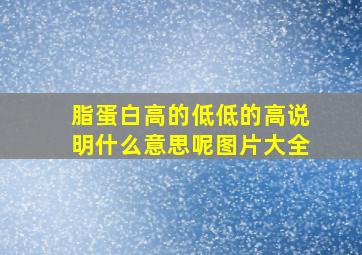 脂蛋白高的低低的高说明什么意思呢图片大全