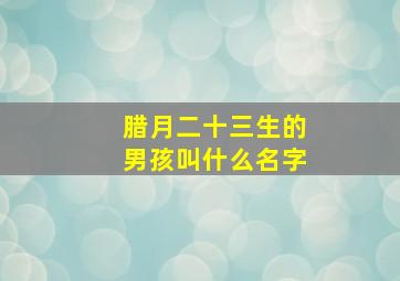 腊月二十三生的男孩叫什么名字