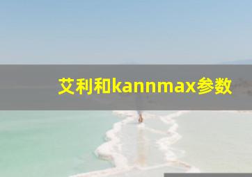 艾利和kannmax参数