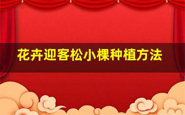 花卉迎客松小棵种植方法