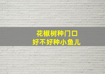 花椒树种门口好不好种小鱼儿