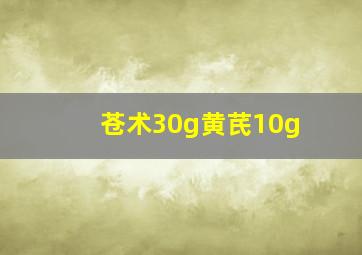 苍术30g黄芪10g