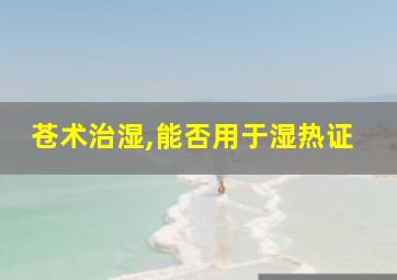 苍术治湿,能否用于湿热证