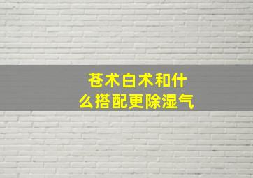 苍术白术和什么搭配更除湿气