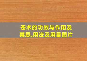 苍术的功效与作用及禁忌,用法及用量图片