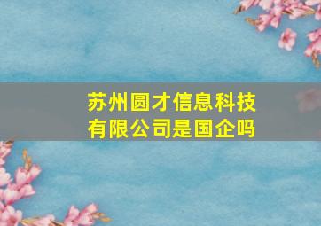 苏州圆才信息科技有限公司是国企吗