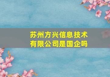 苏州方兴信息技术有限公司是国企吗