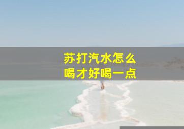 苏打汽水怎么喝才好喝一点