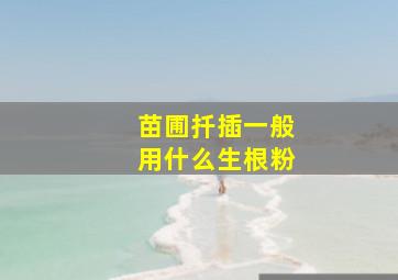 苗圃扦插一般用什么生根粉