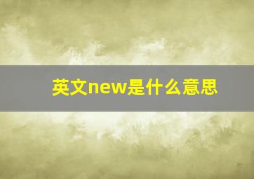 英文new是什么意思