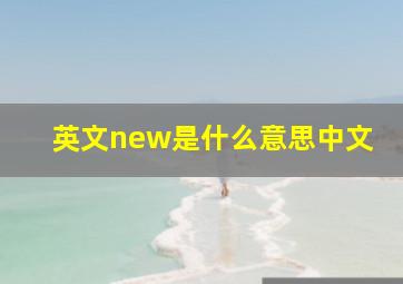 英文new是什么意思中文