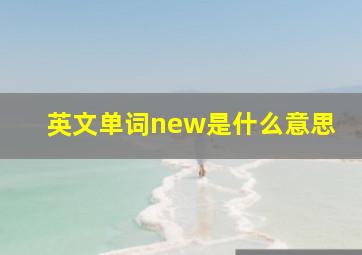 英文单词new是什么意思