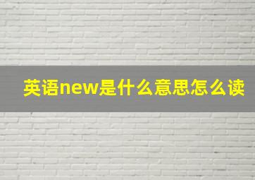 英语new是什么意思怎么读