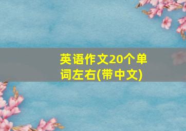 英语作文20个单词左右(带中文)