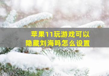 苹果11玩游戏可以隐藏刘海吗怎么设置