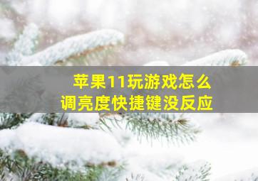 苹果11玩游戏怎么调亮度快捷键没反应