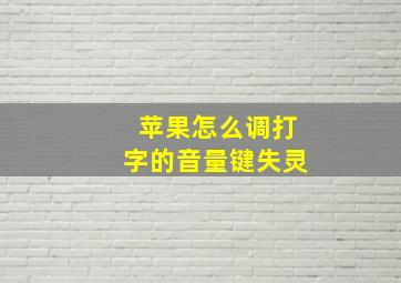 苹果怎么调打字的音量键失灵