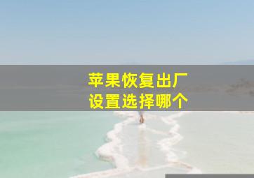 苹果恢复出厂设置选择哪个