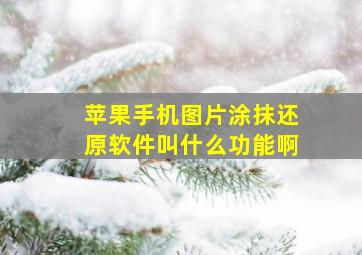 苹果手机图片涂抹还原软件叫什么功能啊