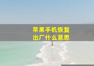 苹果手机恢复出厂什么意思