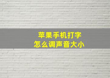 苹果手机打字怎么调声音大小