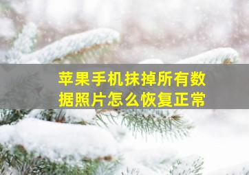 苹果手机抹掉所有数据照片怎么恢复正常