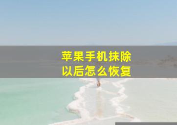 苹果手机抹除以后怎么恢复