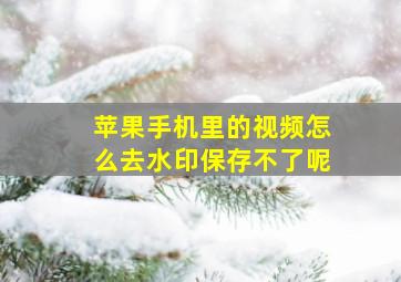 苹果手机里的视频怎么去水印保存不了呢