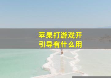 苹果打游戏开引导有什么用