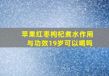 苹果红枣枸杞煮水作用与功效19岁可以喝吗