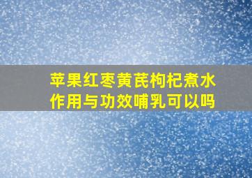 苹果红枣黄芪枸杞煮水作用与功效哺乳可以吗